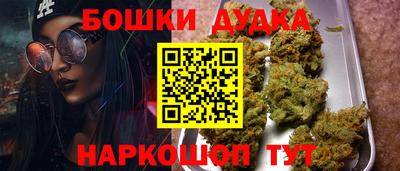 меф Гатчина