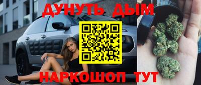 меф Гатчина
