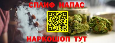 меф Гатчина