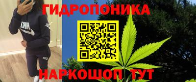 прущий лед Гай
