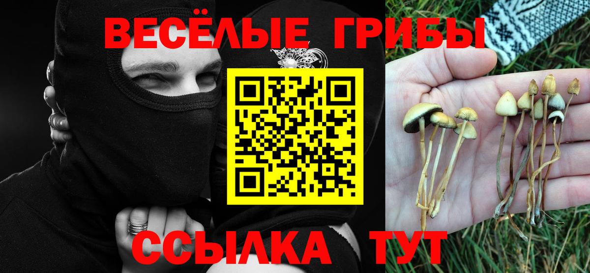 Альфа ПВП СК кристаллы  МАРИХУАНА  Вход с VPN  Губкинский  Наркошоп  Меф кристаллы  ГАШ  Гашиш 